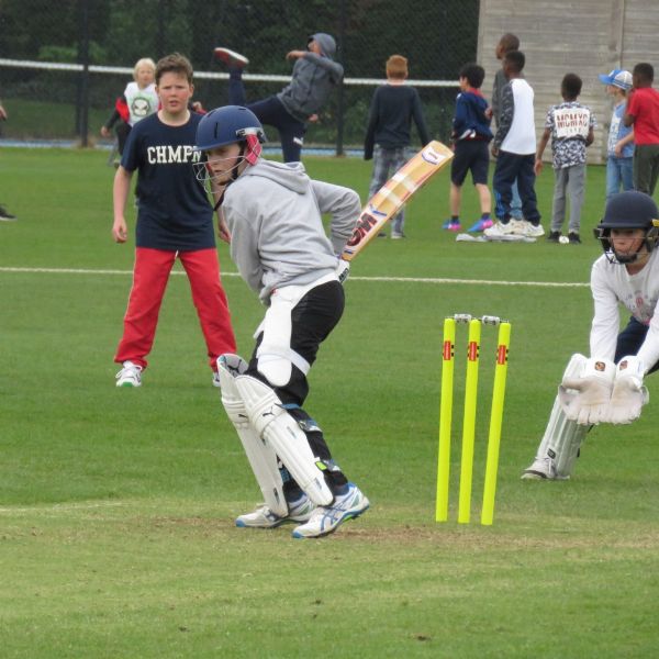 Big Bash 2017 (3)